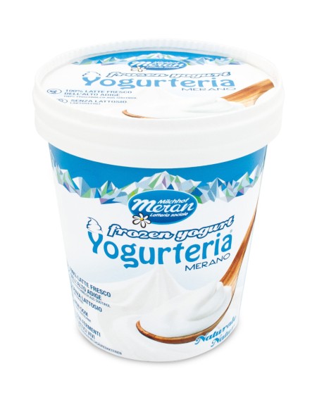 frozen yogurt al naturale senza lattosio  270 gr