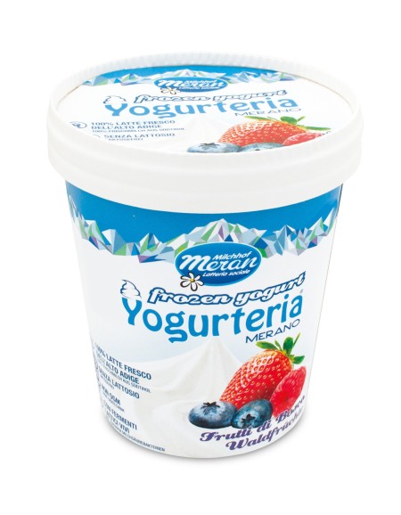 frozen yogurt al gusto cocco 270 gr